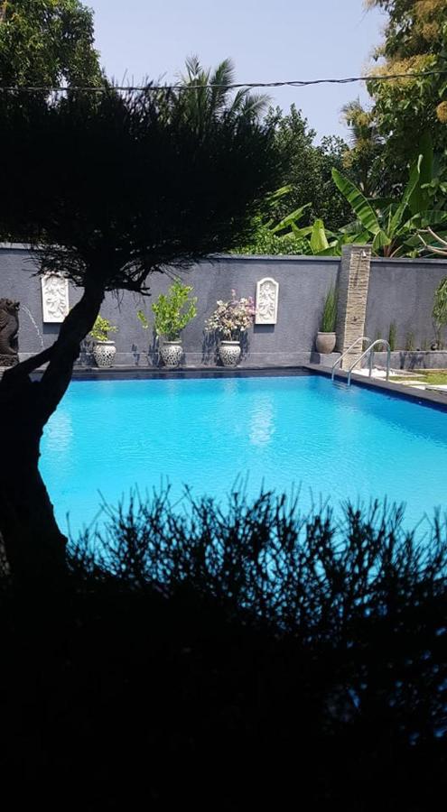 Mias Jungle House Hotell Lovina Eksteriør bilde