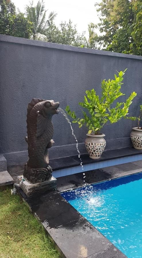 Mias Jungle House Hotell Lovina Eksteriør bilde