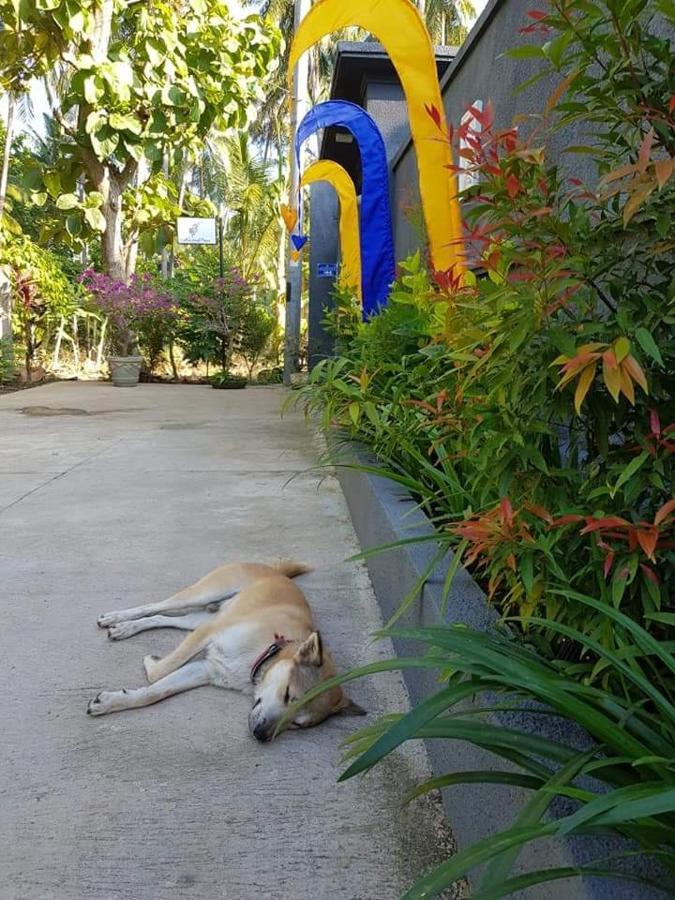 Mias Jungle House Hotell Lovina Eksteriør bilde