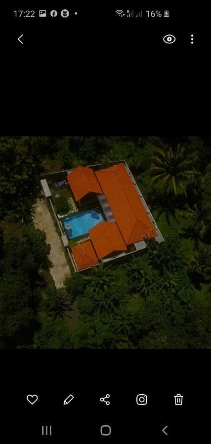 Mias Jungle House Hotell Lovina Eksteriør bilde