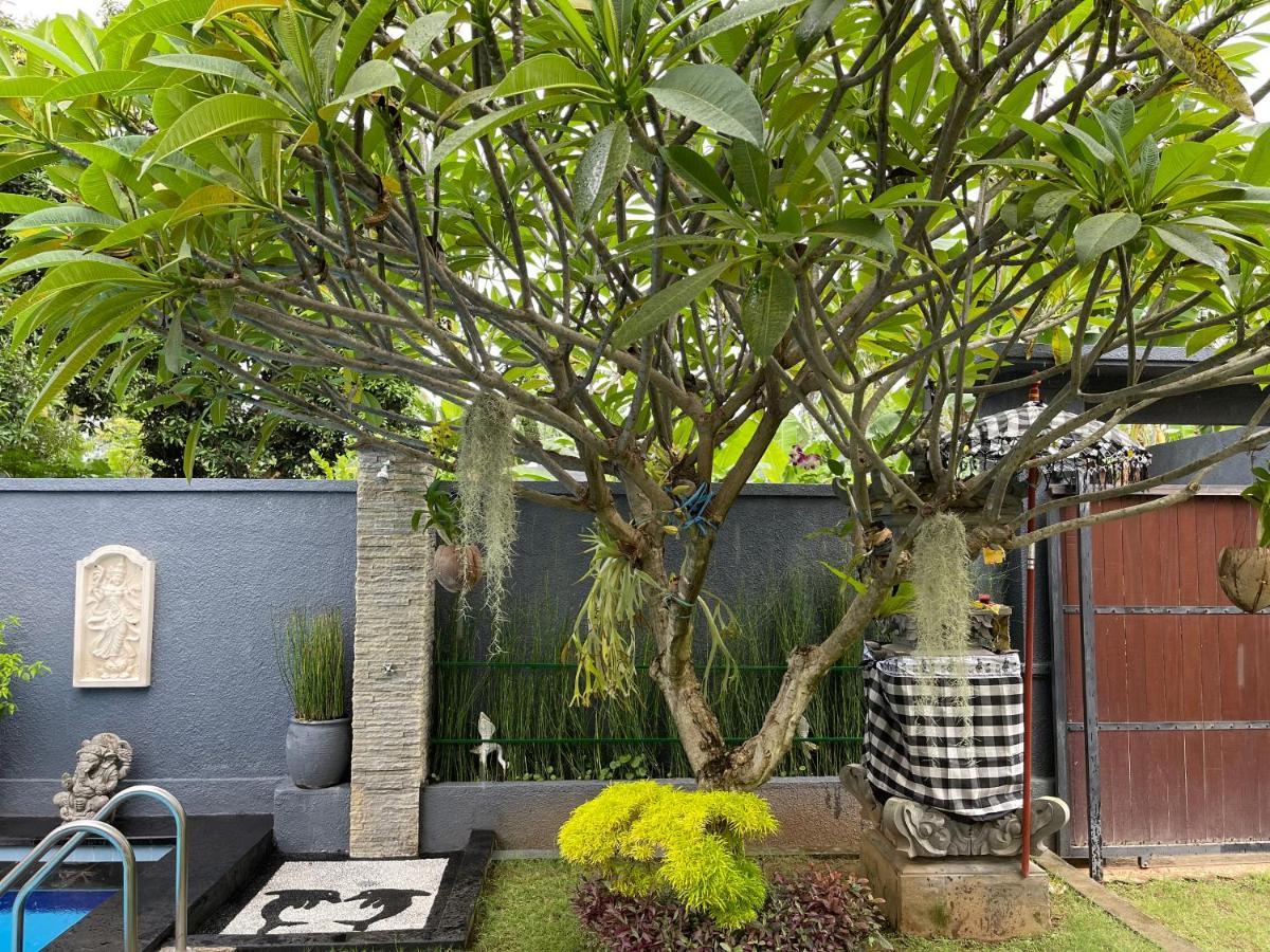 Mias Jungle House Hotell Lovina Eksteriør bilde