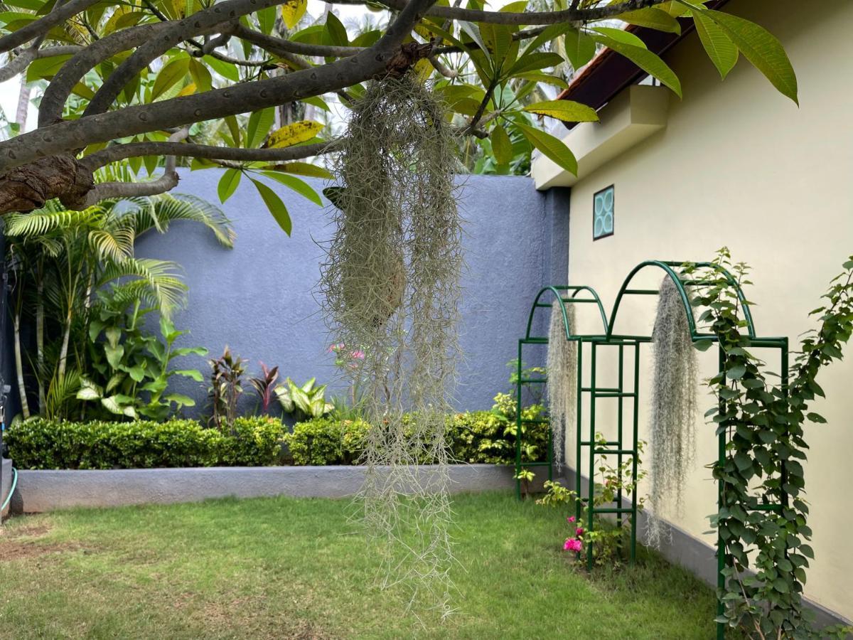 Mias Jungle House Hotell Lovina Eksteriør bilde