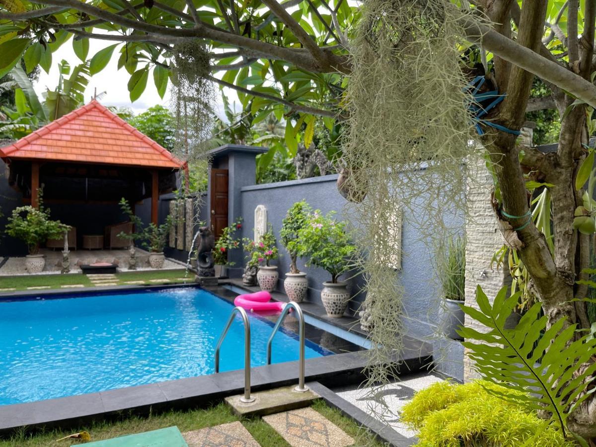 Mias Jungle House Hotell Lovina Eksteriør bilde
