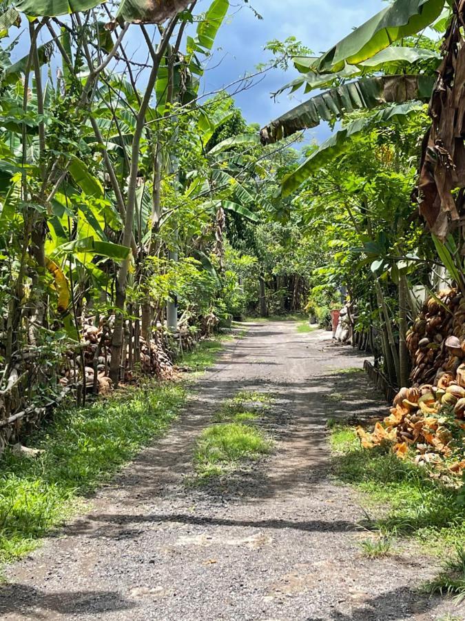 Mias Jungle House Hotell Lovina Eksteriør bilde